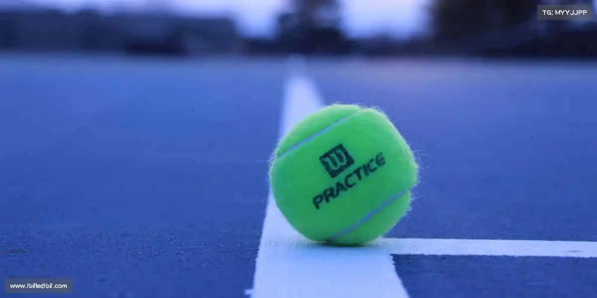 米兰体育🏃‍♀️奔跑吧，追光者！用脚步丈量梦想，用汗水见证成长～